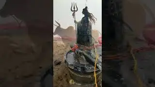 मेरा क्या बड़ा होगा बाबा मुझको तेरा आशीर्वाद | Jubin Nautiyal song status | mere babaगीत स्थित 