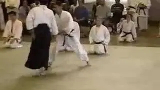 Chida Sensei Hawaii Seminar