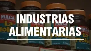 Estudia Ingeniería en Industrias Alimentarias en la UNALM