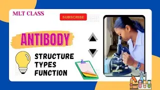 ANTIBODY - STRUCTURE || TYPES & FUNCTIONS🩺 @MLTclass 🩸