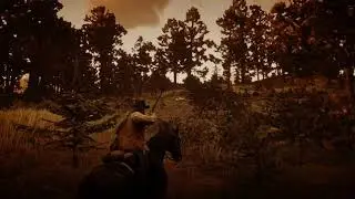 Red Dead Redemption II Marys brother
