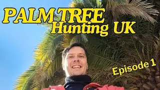 Palm Tree Hunting UK Episode 1
