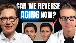 The Longevity Bridge: How AI and Biotechnology Will Change How We Age