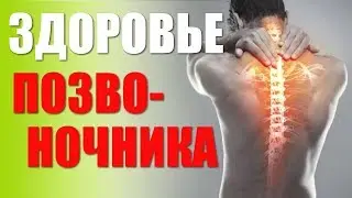 ПОЗВОНОЧНИК.Здоровье позвоночника