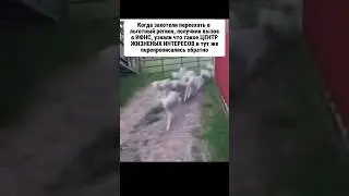 🚘 ПЕРЕЕХАЛИ В ЛЬГОТНЫЙ РЕГИОН? ЖДИТЕ ВНИМАНИЯ ФНС 
