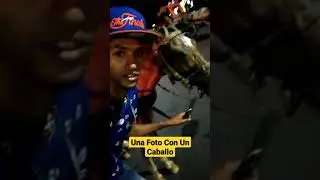 Una Foto Con Un Caballo 