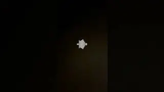 Colocamos o celular escondido no carrinho do José Vicente para saber o que a Lulu fala baixinho