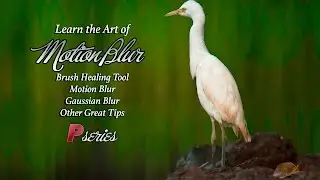 Learn the Art of Motion Blur