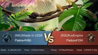 Сплетни про The Ants