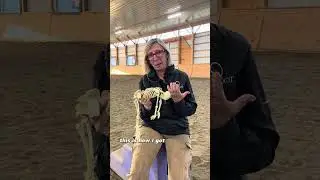 Horse and Human... understand the skeleton, understand movement!  