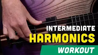 🎸Intermediate Bass Harmonics Workout: Unlock the Magic of Harmonics