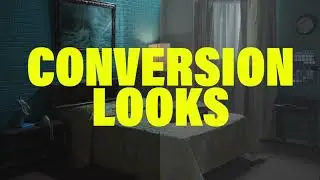 Sony S-LOG3 Conversion LUTS & LOOKS