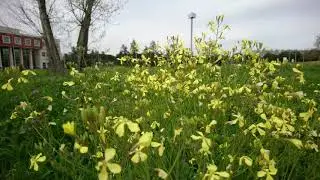 Sony Xperia X Compact 4k HEVC(H265) Test Sample Video