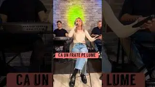 Claudia Puican -Ca un frate pe lume  ( COVER LIVE ) #claudiapuican #live2024