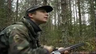Pyynpillitys(Hazel grouse Hunting/ Bonasa bonasia-HD)