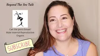 The penis, can it break?- male internal reproductive organs