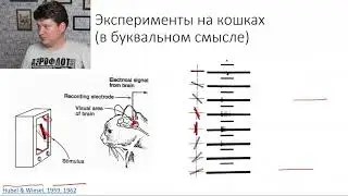 Deep Learning на пальцах 6 - Convolutional Neural Networks