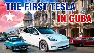Find Out How It Got There! | In Depth