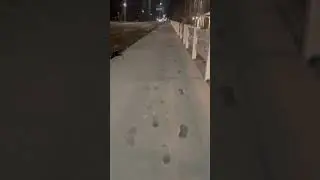 🏃🏽‍♀️ Utah / Angola na América