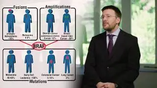 BRAF Mutations Across Cancers