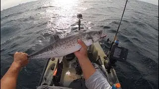 Offshore Kayak Fishing Destin Florida | King Mackerel, Spanish Mackerel and Bonita