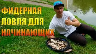 ФИДЕРНАЯ ЛОВЛЯ ДЛЯ НАЧИНАЮЩИХ