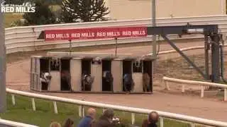 2015 RED MILLS Champion Juvenile Round 1