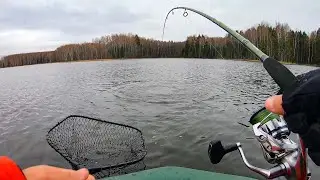 Спиннинг НА ПРЕДЕЛЕ от ЭТОГО МОНСТРА! Рыбалка в ноябре