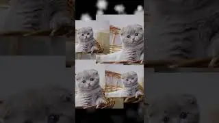 #милые