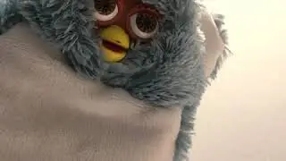 Long Furby blends a Blobfish