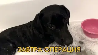 VLOG:🔥ЗАВТРА ОЧЕНЬ ВАЖНЫЙ ДЕНЬ🔥