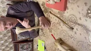 📹 Oyoq kamari va oyoqning erkin suyaklari Baxtiyor Norbekovich
