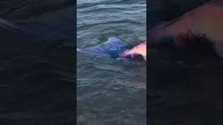 Русская адаптация H2O просто добавь воды
