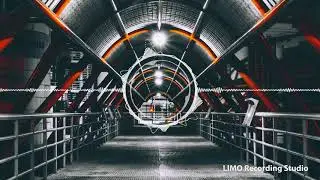 Chime - Phototropic