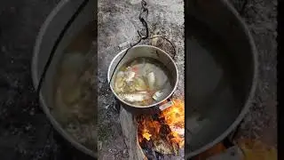Караульный Яр 16.06.18