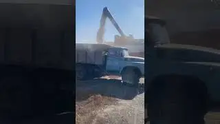 Выгрузка комбайны #farming #acros #зил130 #shorts