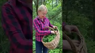 Сбор Иван-чая для моих травяных чаев Живия 🌿