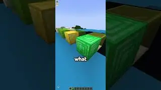 Minecraft Telepathy 22