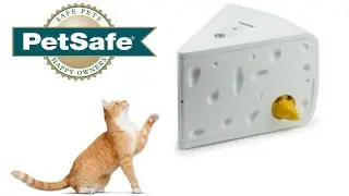 Electronic Cheese Cat Toy from PetSafe