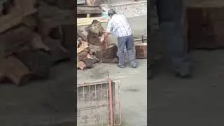 yazdan kış hazırlıkları