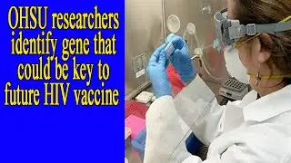 New gene discovery aids HIV vaccine progress