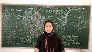 Class - 11th / Biology Chapter-18 ( Body fluids and circulation - Lecture 8 )