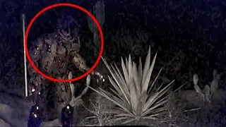 Springtrap Caught on Dashcam