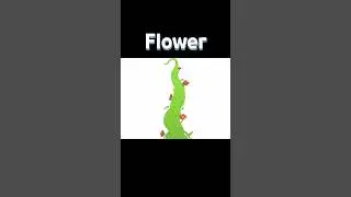 Flower~~ [Hololive animation / kronii,mumei ]