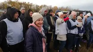 Оренбург. Репортаж с посадки леса 18.10.22