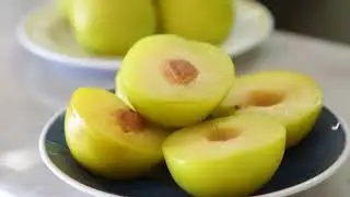King Midas Plum - A Touch of Gold