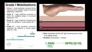 Basics of Mobilizations | Theory, Maitland Classifications, & Grades I-V