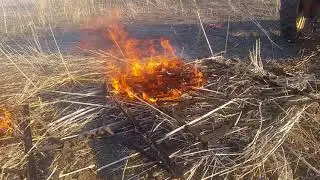 Т-25 + бороны