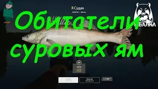 Русская рыбалка 4. Спиннинг на Суре. Берш и судак на Охотничьих вылесках.