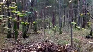 ПЕРВЫЙ СНЕГ!22.10.17. ДОЛГОЖДАННЫЙ СНЕГ!